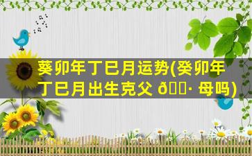 葵卯年丁巳月运势(癸卯年丁巳月出生克父 🌷 母吗)